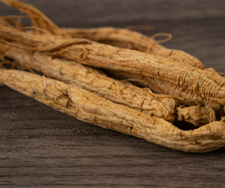 L'Extrait de ginseng de Sibérie : une force de la nature pour l'Énergie et la Résilience