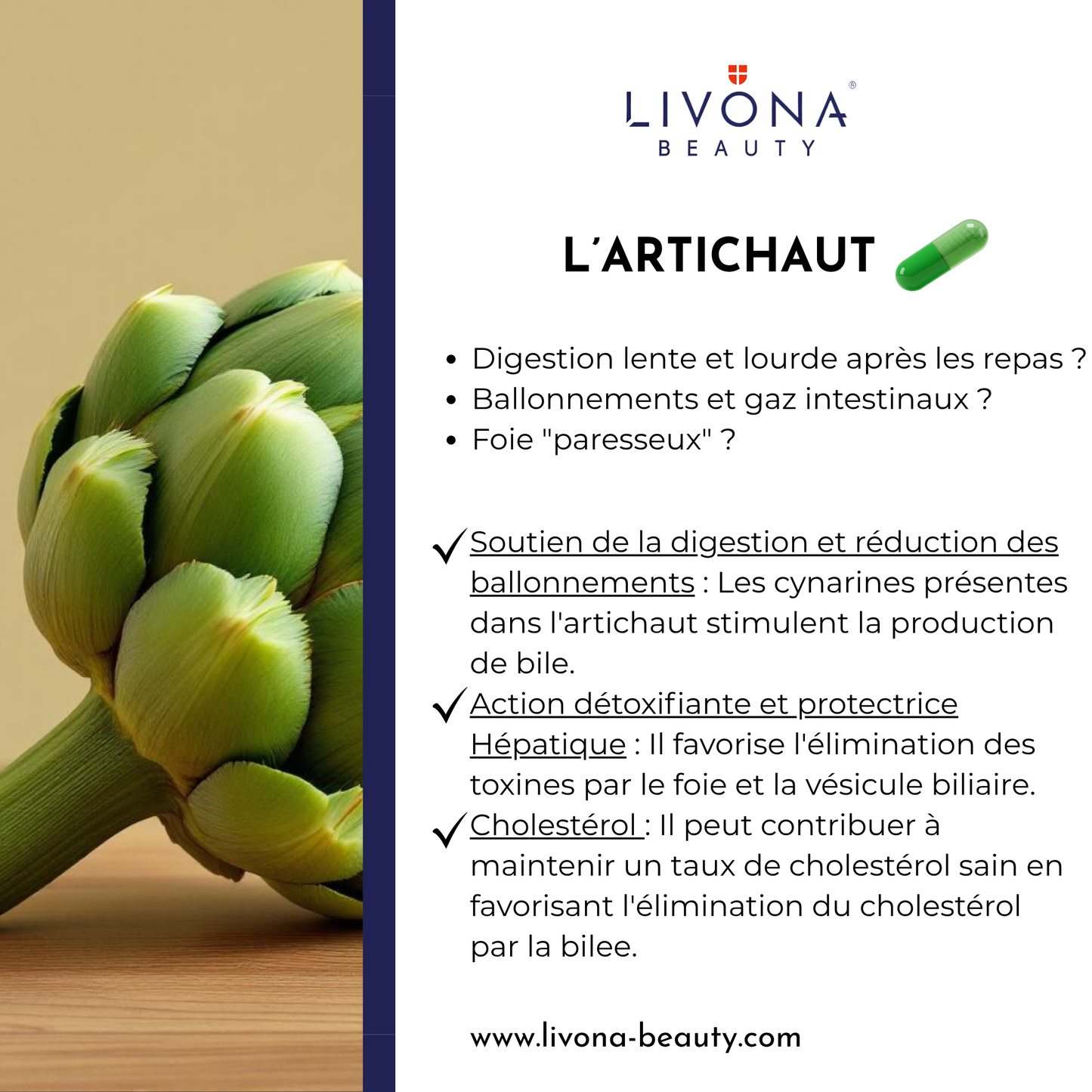 Spiruline & Algue Chlorella