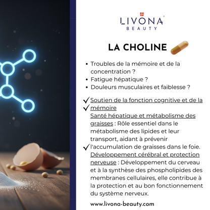 Spiruline & Algue Chlorella