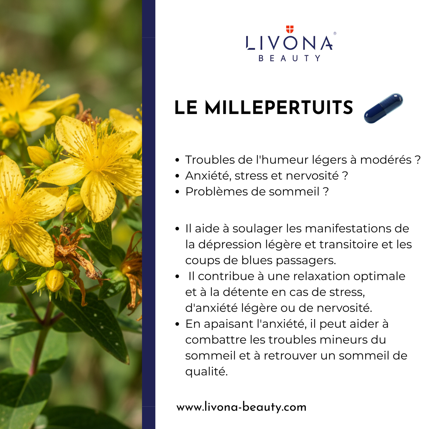 Millepertuits & Ashwagandha