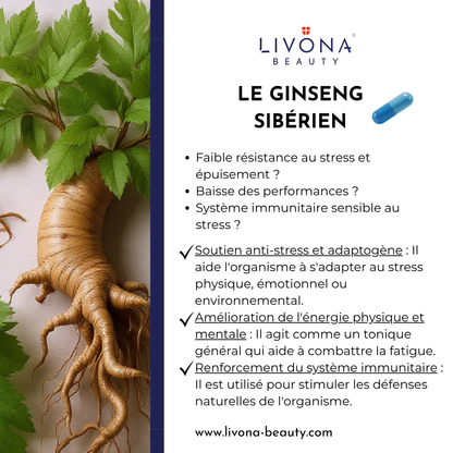 Ginseng Sibérien & Passiflore
